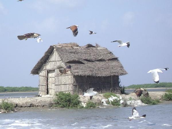 அமைவிட பெருமை