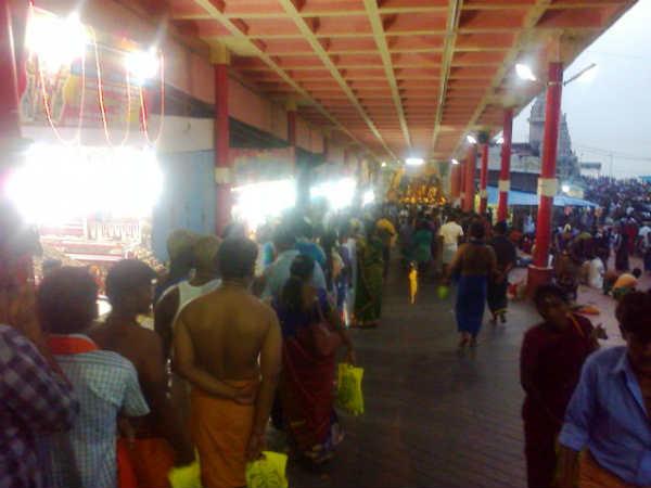 விழாவும் நிகழ்ச்சிகளும்