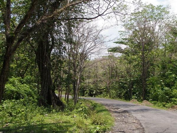 அந்தமானின் அழகிய தீவுகள்