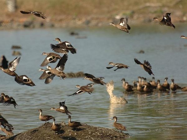 அந்தமானின் அழகிய தீவுகள்