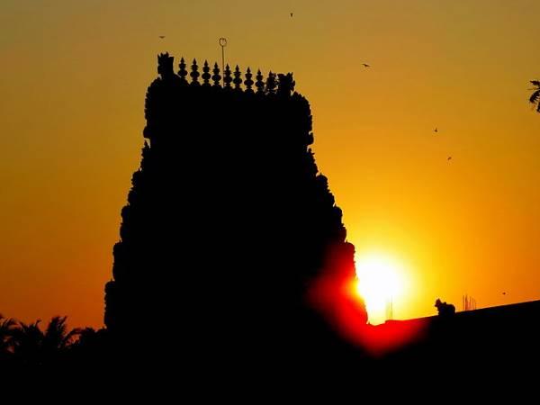 சிவசூரியநாராயண கோவிலின் அற்புதம்! கொட்டிக் கொடுக்கும் தெய்வம் சிவசூரியநாராயண கோவிலின் அற்புதம்! கொட்டிக் கொடுக்கும் தெய்வம்