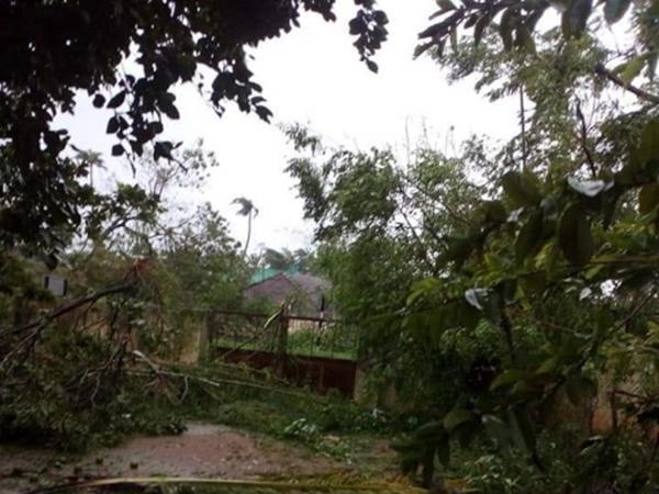 பாதிப்புகள்