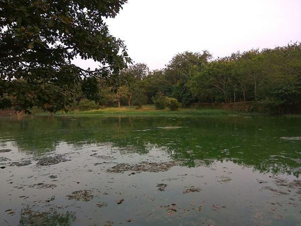 காட்டுயிர் சரணாலயம்