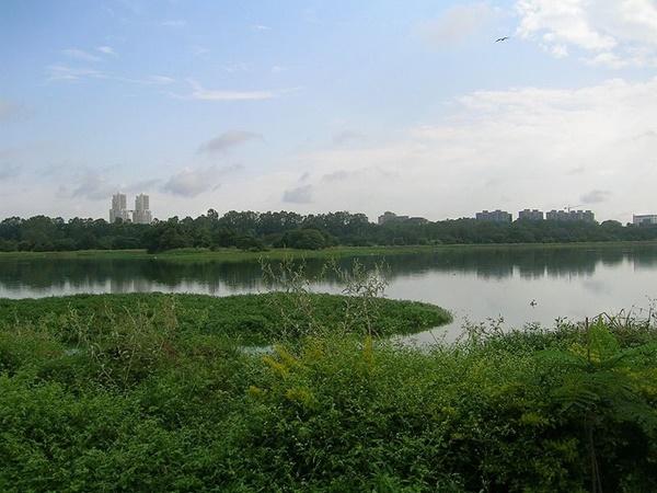 ஏரி உருவாக்கம்