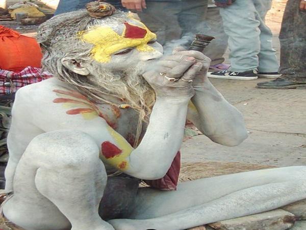 சாதுக்களைக் காண்போம் வாருங்கள்