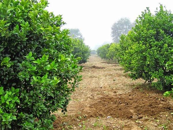 சிந்து நதிக்கரை சிற்றரசுகள்