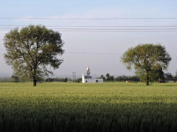 சரணடைய மறுத்த போரஸ்