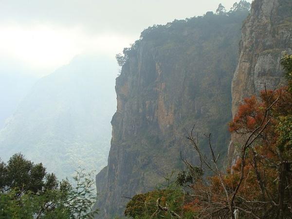 கொடைக்கானல் மலை