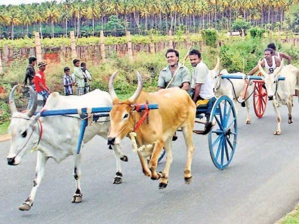 மாவூது