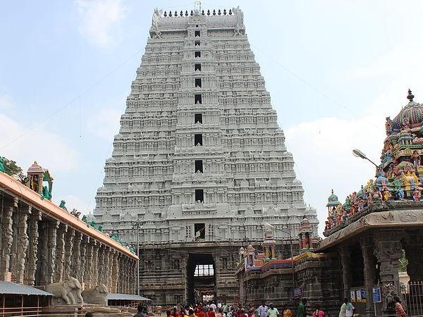 மாமர குகை