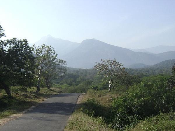 ஆனைமலை