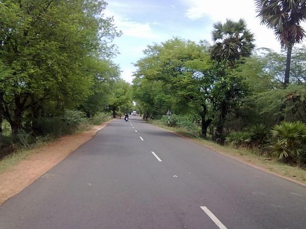 புதுக்கோட்டை அருள்மிகு புவனேஸ்வரி அம்மன் ஆலயம்