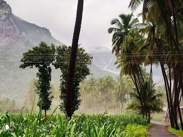 திரைப்படத்தில் வரும் காட்சிகள்