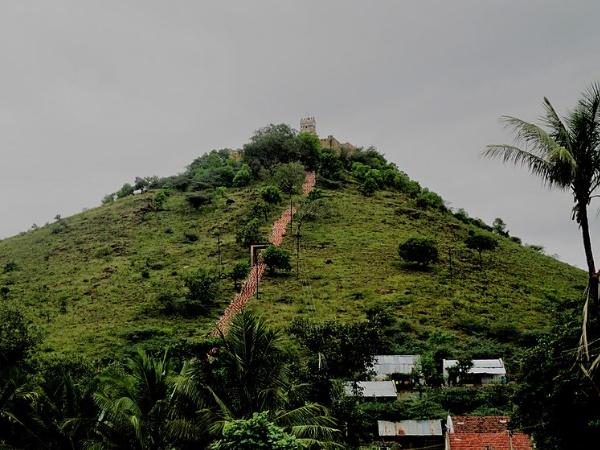 அரசு அருங்காட்சியகம்