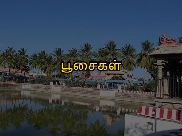 பூசைகள்