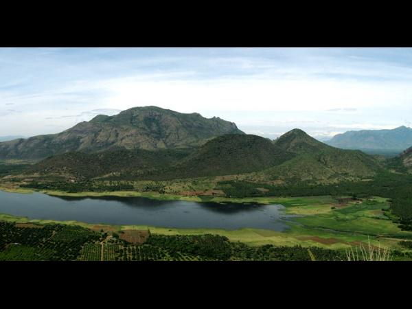 திருவிழாக்களும், கண்காட்சிகளும்