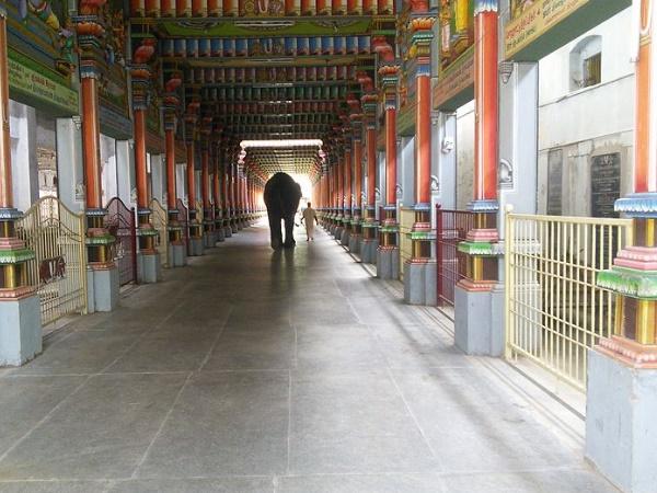 ஒப்பிலியப்பன் திருக்கோவில்