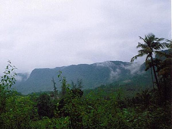 துவஜஸ்தம்பம்