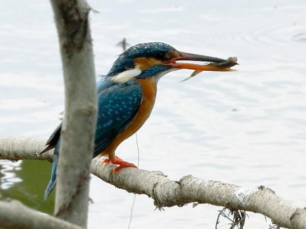 எப்படி அடைவது