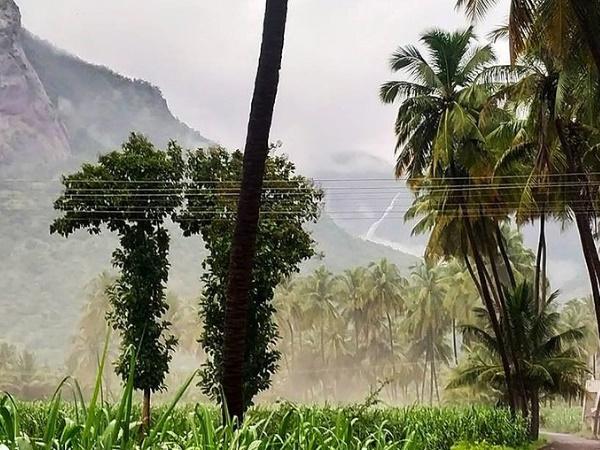 கைலாசநாதர் குகைக் கோவில்