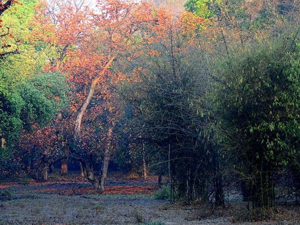 இயற்கையின் அழகில்