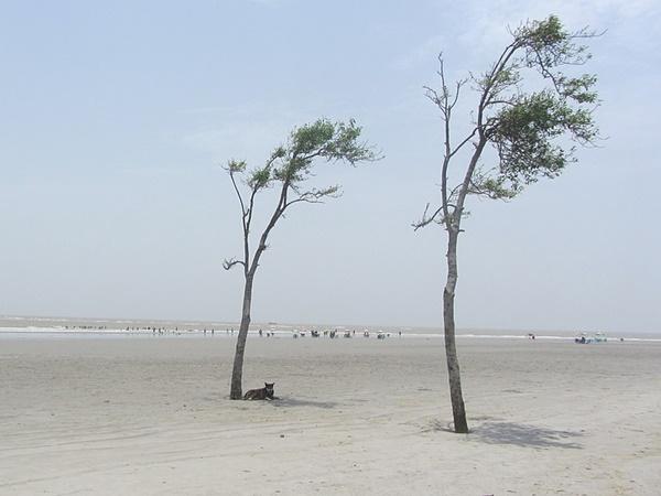 ஹென்றி தீவின் அழகும் சொர்க்கமும்