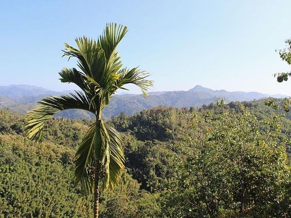 தொழில்களும் பாரம்பரியமும்