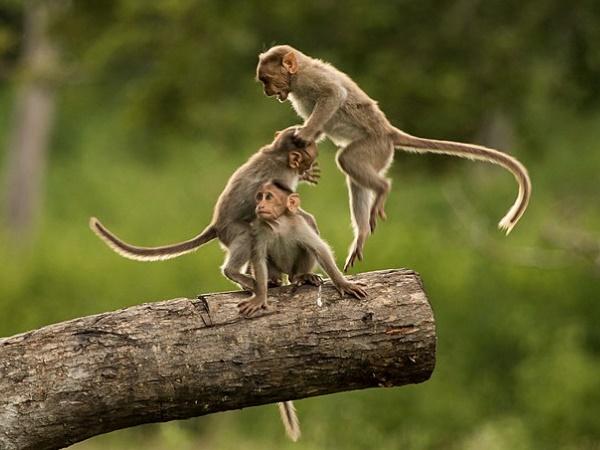 என்னெல்லாம் இருக்கு