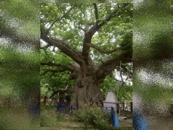 பயணத்திற்கு ஏற்ற பருவம்
