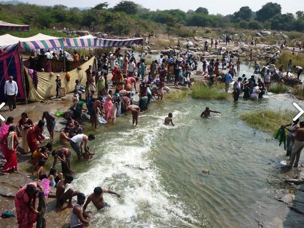 பசுமையான வழித்தடங்கள்