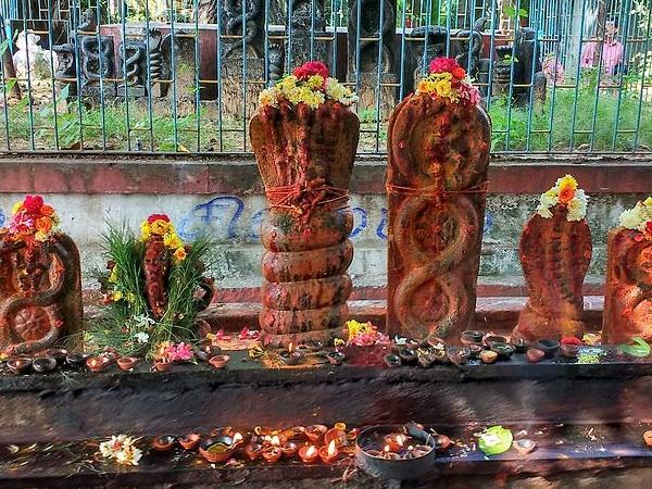 திருப்பனந்தாள்