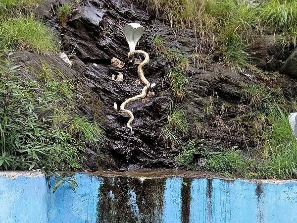 திருநீர்மலை