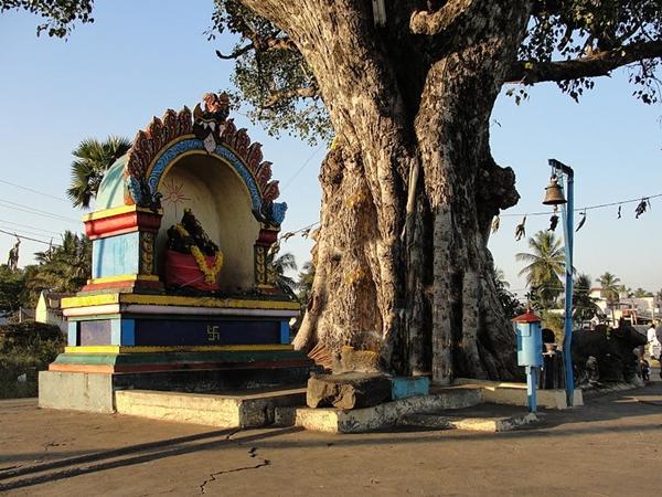 தூத்துக்குடி ஆயிரத்தெண் விநாயகர்