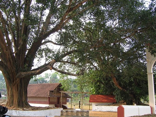 மண்டைக்காடு கடற்கரை