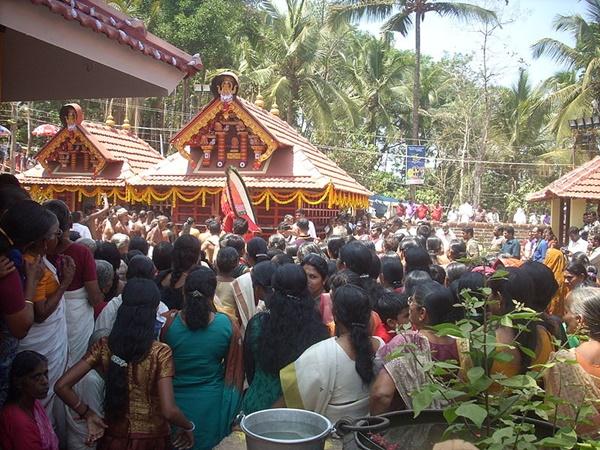 சக்கரத்தில் வளர்ந்த புற்று