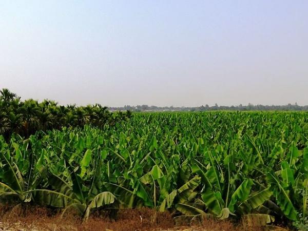 நூறு மடங்கு அதிகரித்த சொத்துக்கள்