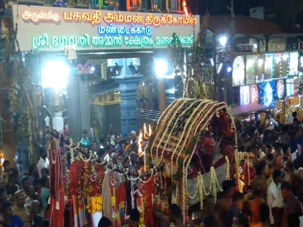 அடர்ந்த காடு