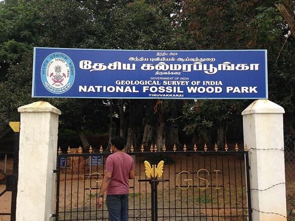 அது எங்க இருக்கு