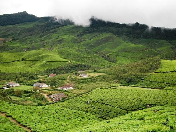 தேவிகுளம் - ஈர்க்கும் இடங்கள், எப்போது மற்றும் எப்படி செல்வது? தேவிகுளம் - ஈர்க்கும் இடங்கள், எப்போது மற்றும் எப்படி செல்வது?