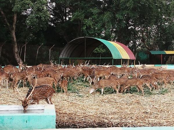 இந்தியாவில் ரயில் தடவாளங்கள் தயாரிக்கப்படும் இடம் எது தெரியுமா? இந்தியாவில் ரயில் தடவாளங்கள் தயாரிக்கப்படும் இடம் எது தெரியுமா?