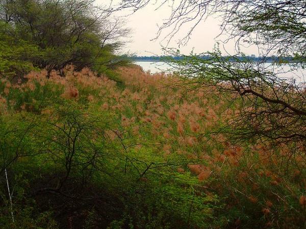 சாத்பிர் வனவிலங்குக்காட்சியகம்