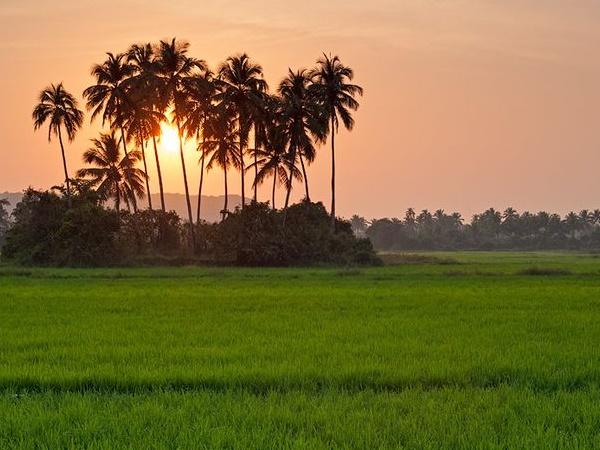 சாப்டெம் - ஈர்க்கும் இடங்கள், எப்போது மற்றும் எப்படி செல்வது சாப்டெம் - ஈர்க்கும் இடங்கள், எப்போது மற்றும் எப்படி செல்வது