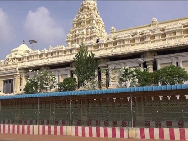 வனதிருப்பதி, புன்னை நகர்