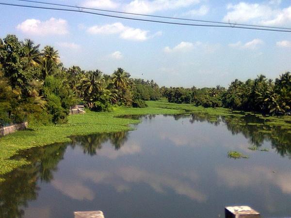 காலடி சுற்றுலா - ஈர்க்கும் இடங்கள், செய்யவேண்டியவை மற்றும் எப்படி அடைவது காலடி சுற்றுலா - ஈர்க்கும் இடங்கள், செய்யவேண்டியவை மற்றும் எப்படி அடைவது