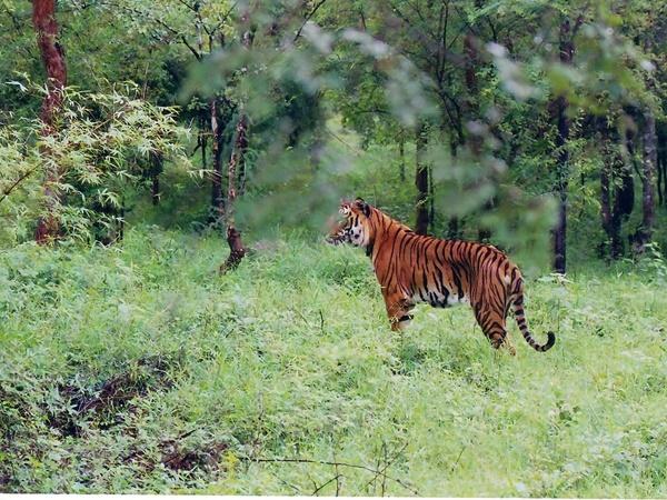 சிவகிரி சுற்றுலா - ஈர்க்கும் இடங்கள், செய்யவேண்டியவை மற்றும் எப்படி அடைவது சிவகிரி சுற்றுலா - ஈர்க்கும் இடங்கள், செய்யவேண்டியவை மற்றும் எப்படி அடைவது