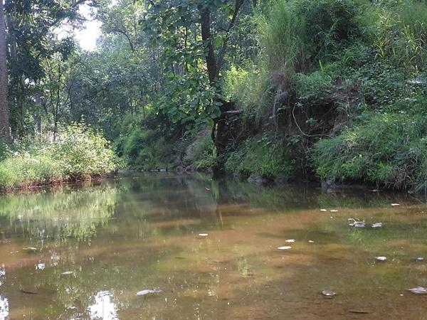 சியோனி சுற்றுலா - ஈர்க்கும் இடங்கள், செய்யவேண்டியவை மற்றும் எப்படி அடைவது சியோனி சுற்றுலா - ஈர்க்கும் இடங்கள், செய்யவேண்டியவை மற்றும் எப்படி அடைவது