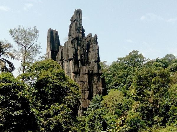 யானா சுற்றுலா - ஈர்க்கும் இடங்கள், செய்யவேண்டியவை மற்றும் எப்படி அடைவது யானா சுற்றுலா - ஈர்க்கும் இடங்கள், செய்யவேண்டியவை மற்றும் எப்படி அடைவது