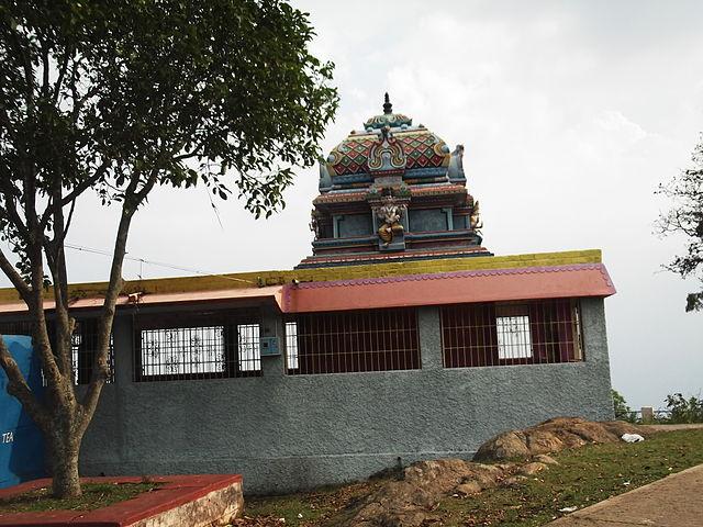 சென்னையில் மிகவும் எதிர்பார்க்கப்பட்ட டைனோசர் திருவிழா – நேரம், தேதி, இடம் மற்றும் கட்டணம் சென்னையில் மிகவும் எதிர்பார்க்கப்பட்ட டைனோசர் திருவிழா – நேரம், தேதி, இடம் மற்றும் கட்டணம்
