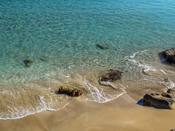 https://www.google.co.in/search?q=lawson+day+beach+native+planet&tbm=isch&ved=2ahUKEwj-082HurH4AhXNitgFHXmXAY4Q2-cCegQIABAA&oq=lawson+day+beach+native+planet&gs_lcp=CgNpbWcQAzoECCMQJ1C0CVjyM2C3OmgAcAB4AIABhgGIAYIMkgEEMTEuNZgBAKABAaoBC2d3cy13aXotaW1nwAEB&sclient=img&ei=XNyqYv61Is2V4t4P-a6G8Ag&bih=722&biw=1538#imgrc=ru-dixs7477K4M https://www.google.co.in/search?q=lawson+day+beach+native+planet&tbm=isch&ved=2ahUKEwj-082HurH4AhXNitgFHXmXAY4Q2-cCegQIABAA&oq=lawson+day+beach+native+planet&gs_lcp=CgNpbWcQAzoECCMQJ1C0CVjyM2C3OmgAcAB4AIABhgGIAYIMkgEEMTEuNZgBAKABAaoBC2d3cy13aXotaW1nwAEB&sclient=img&ei=XNyqYv61Is2V4t4P-a6G8Ag&bih=722&biw=1538#imgrc=ru-dixs7477K4M
