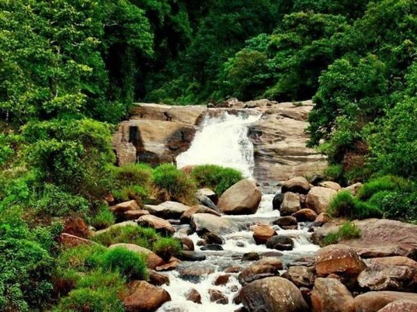 சின்னக்கல்லார் நீர்வீழ்ச்சி